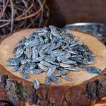 Ηλιόσπορος ψημένος αλατισμένος