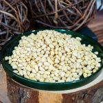 Κουκουνάρι