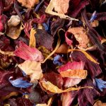 Carcadet Samba - 4,45€/50g